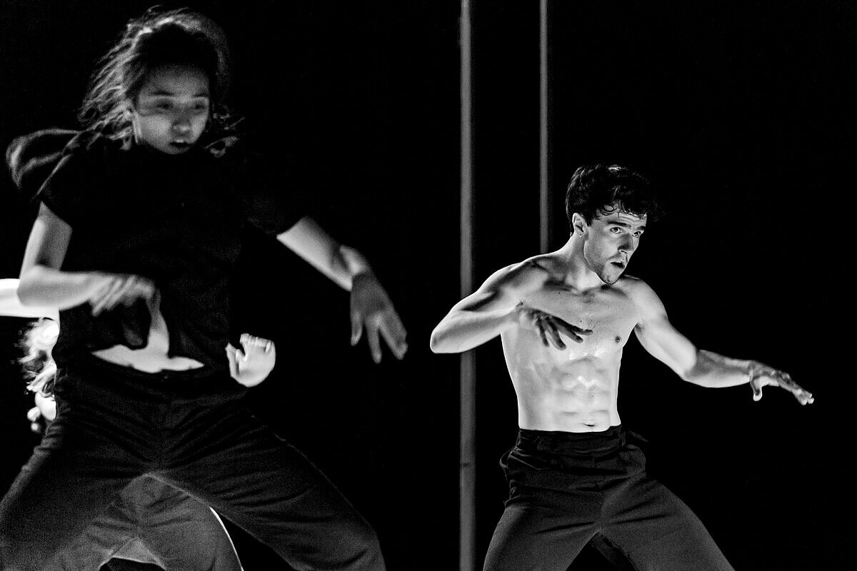 „This horse you cannot ride" | Julio César Iglesias Ungo | Foto: Christian Clarke
