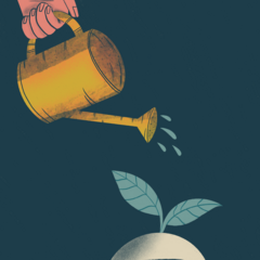 Scholarships & Grants